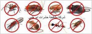 شركة مكافحة حشرات ابو ظبى