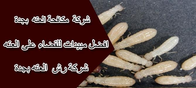 شركة رش مبيدات بجدة : شركة مكافحة حشرات بجدة : افضل شركات مكافحة الحشرات بجدة : ارقام شركات مكافحة الحشرات بجدة : اسعار شركات مكافحة الحشرات جدة : اسعار مكافحة الحشرات بجدة