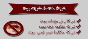 شركة رش مبيدات بجدة : شركة مكافحة حشرات بجدة : افضل شركات مكافحة الحشرات بجدة : ارقام شركات مكافحة الحشرات بجدة : اسعار شركات مكافحة الحشرات بجدة : اسعار مكافحة الحشرات بجدة