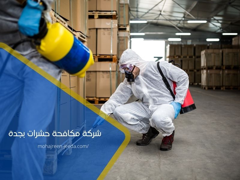 شركة مكافحة حشرات بجدة; شركة مكافحة فئران بجدة; شركة مكافحة النمل الابيض بجدة;